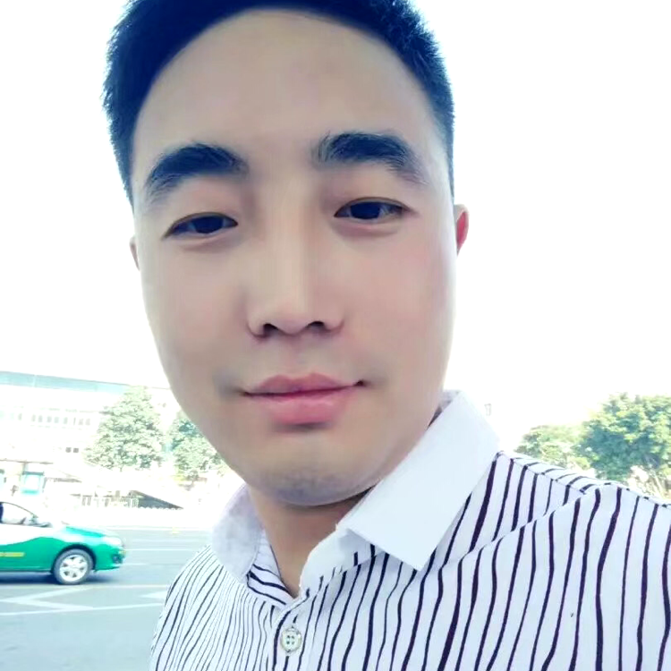 哈密瓜演变活泼的照片