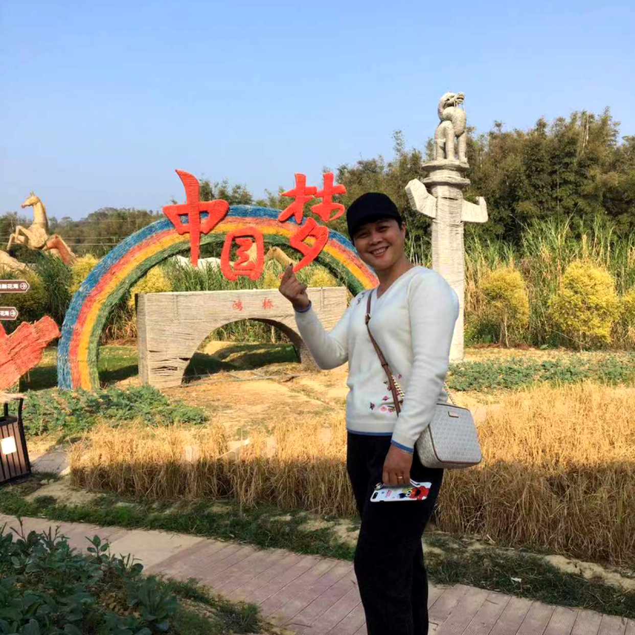 翅膀爱勤奋的照片
