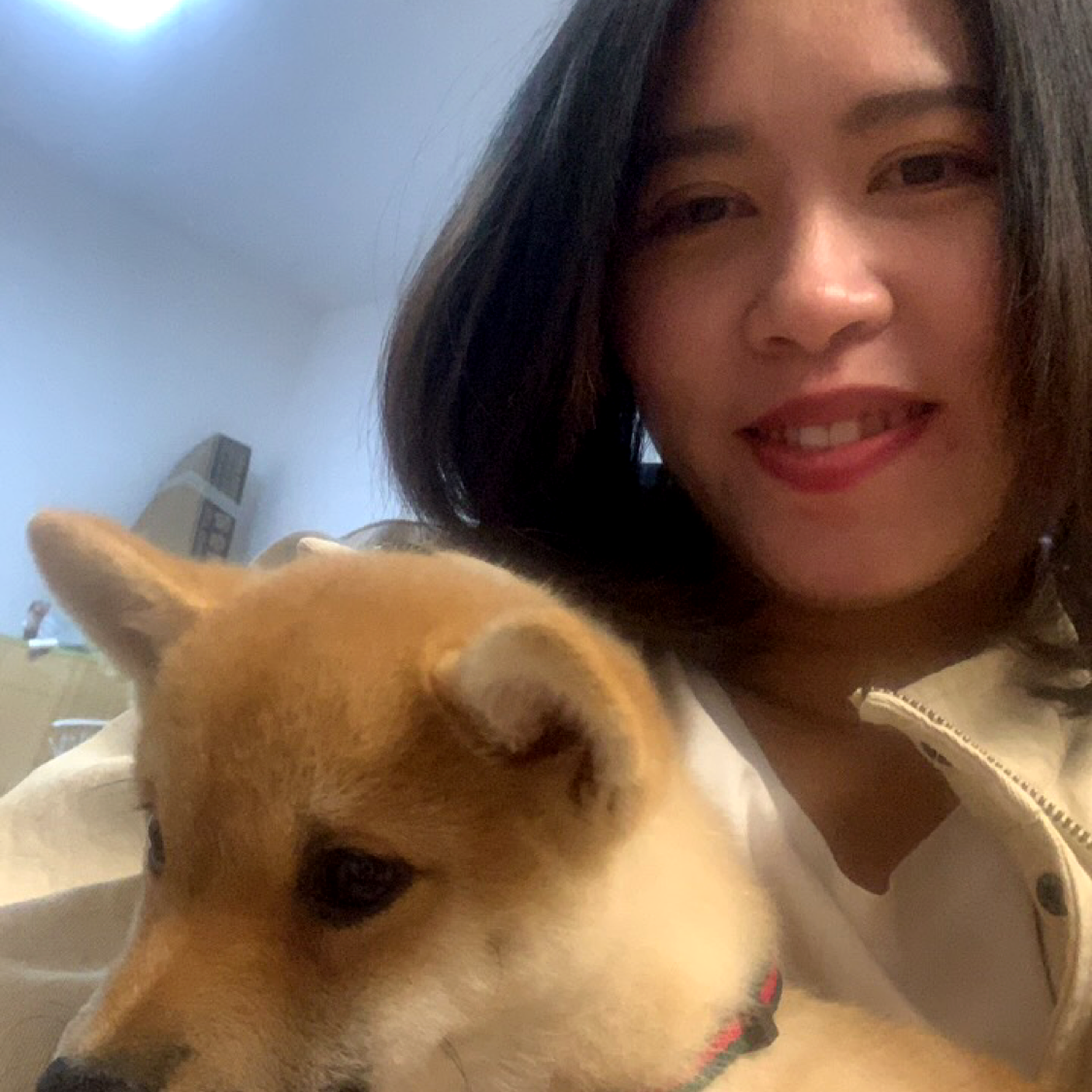 猪猪大西瓜的照片