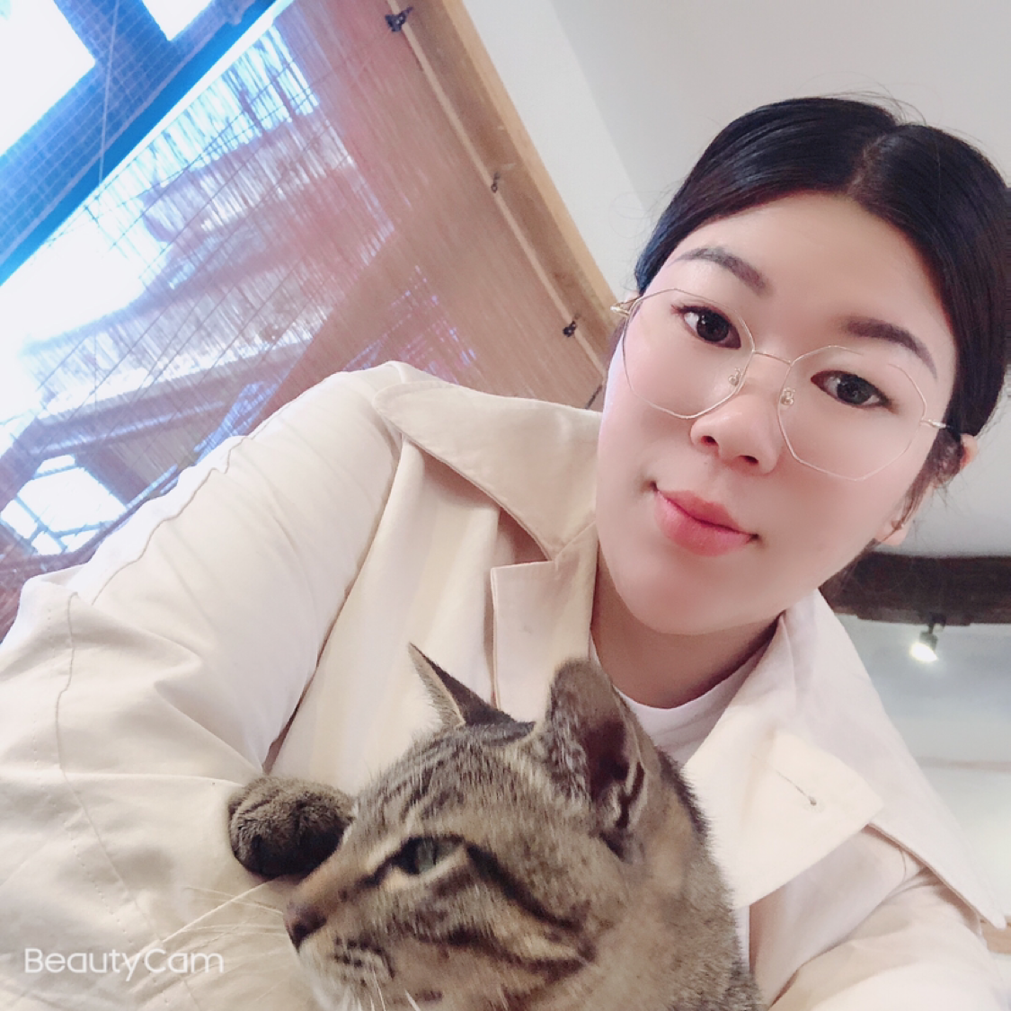眯眯眼与板凳的照片
