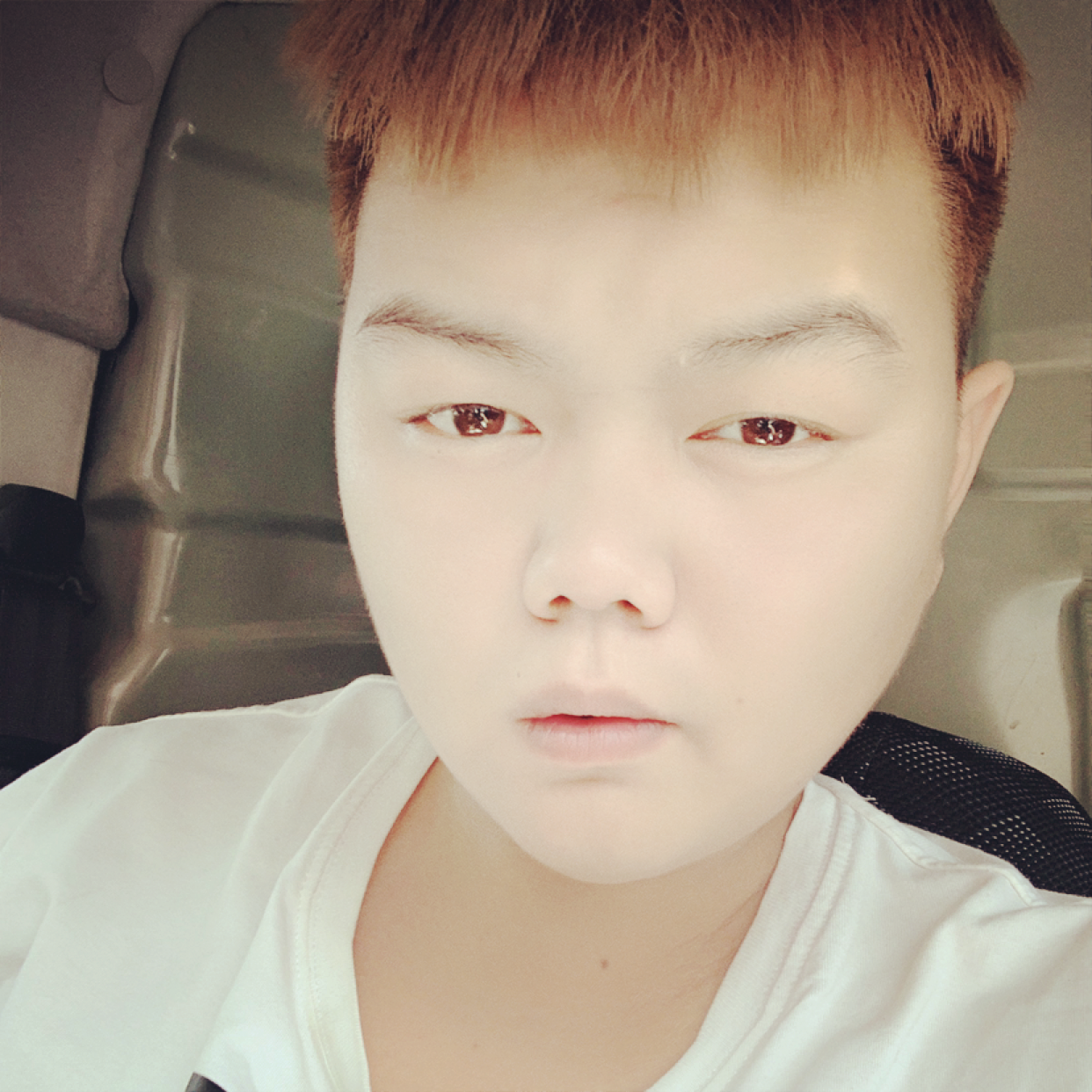兴奋就黄蜂的照片