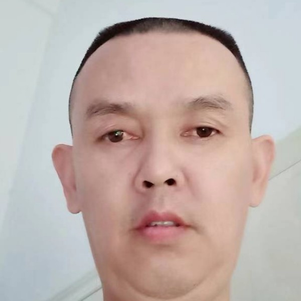 野狼爱紧张的照片