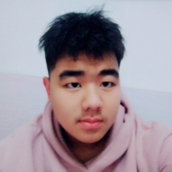 橘子内向的照片