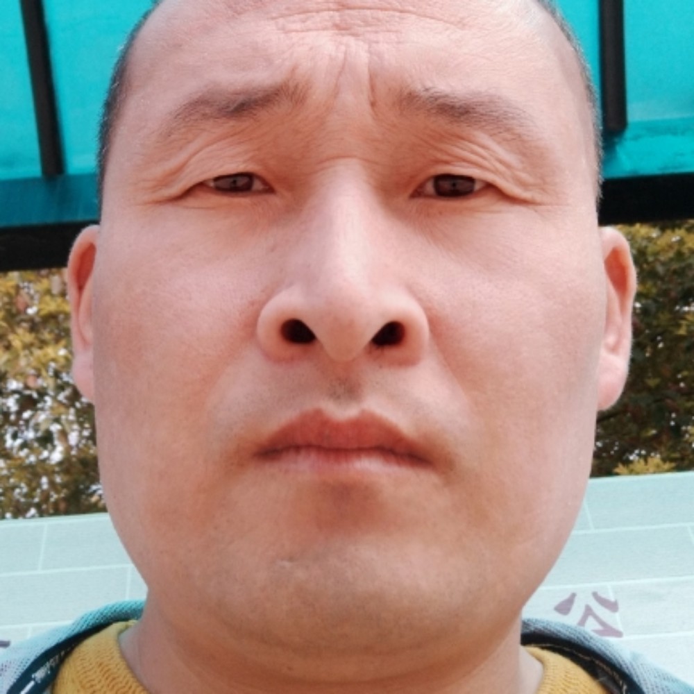 小懒猪神勇的照片