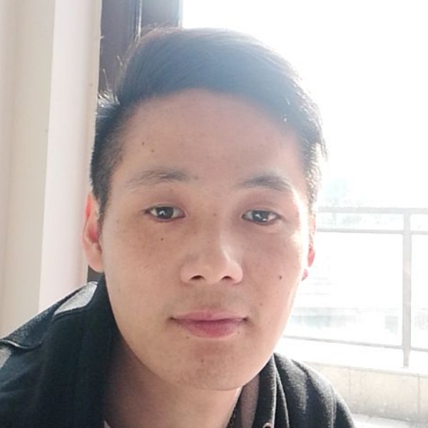 感动小鸽子的照片