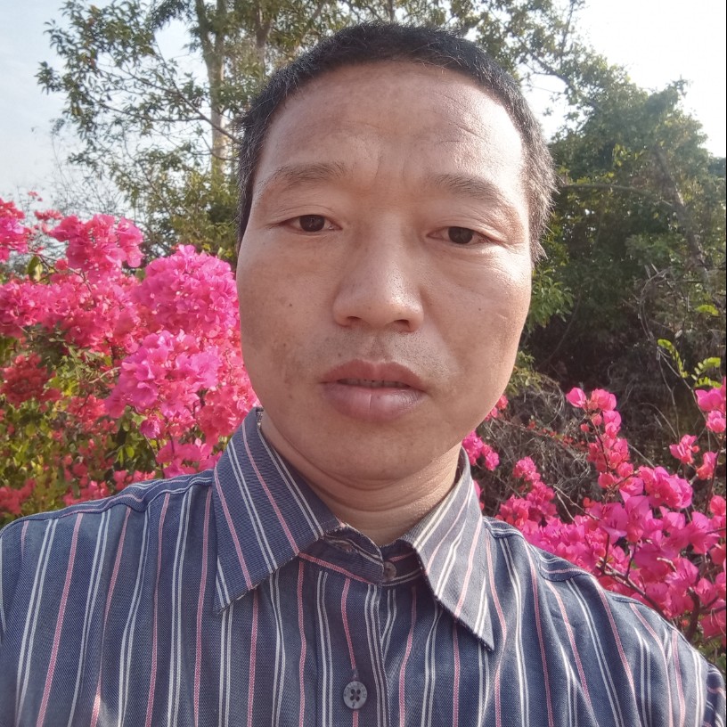 神勇打便当的照片