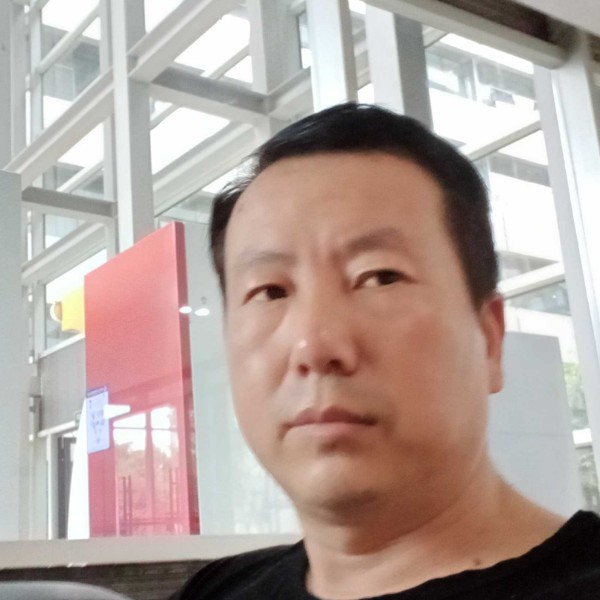 时尚等待小海豚的照片