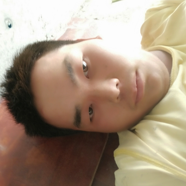 未来就怕孤单的照片