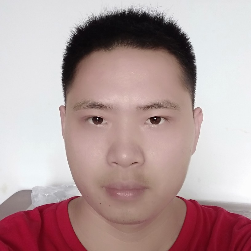 安静的小壁虎的照片