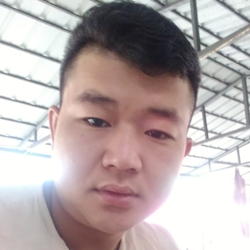 寂寞的公孔雀的照片