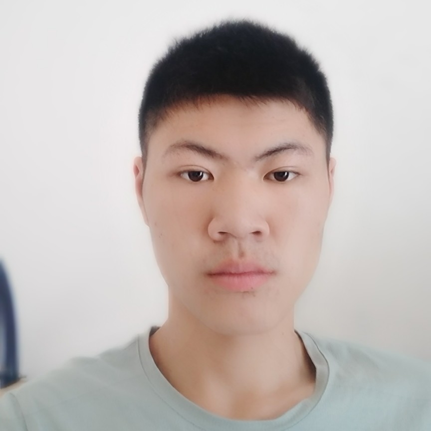 小海豚狂野的照片