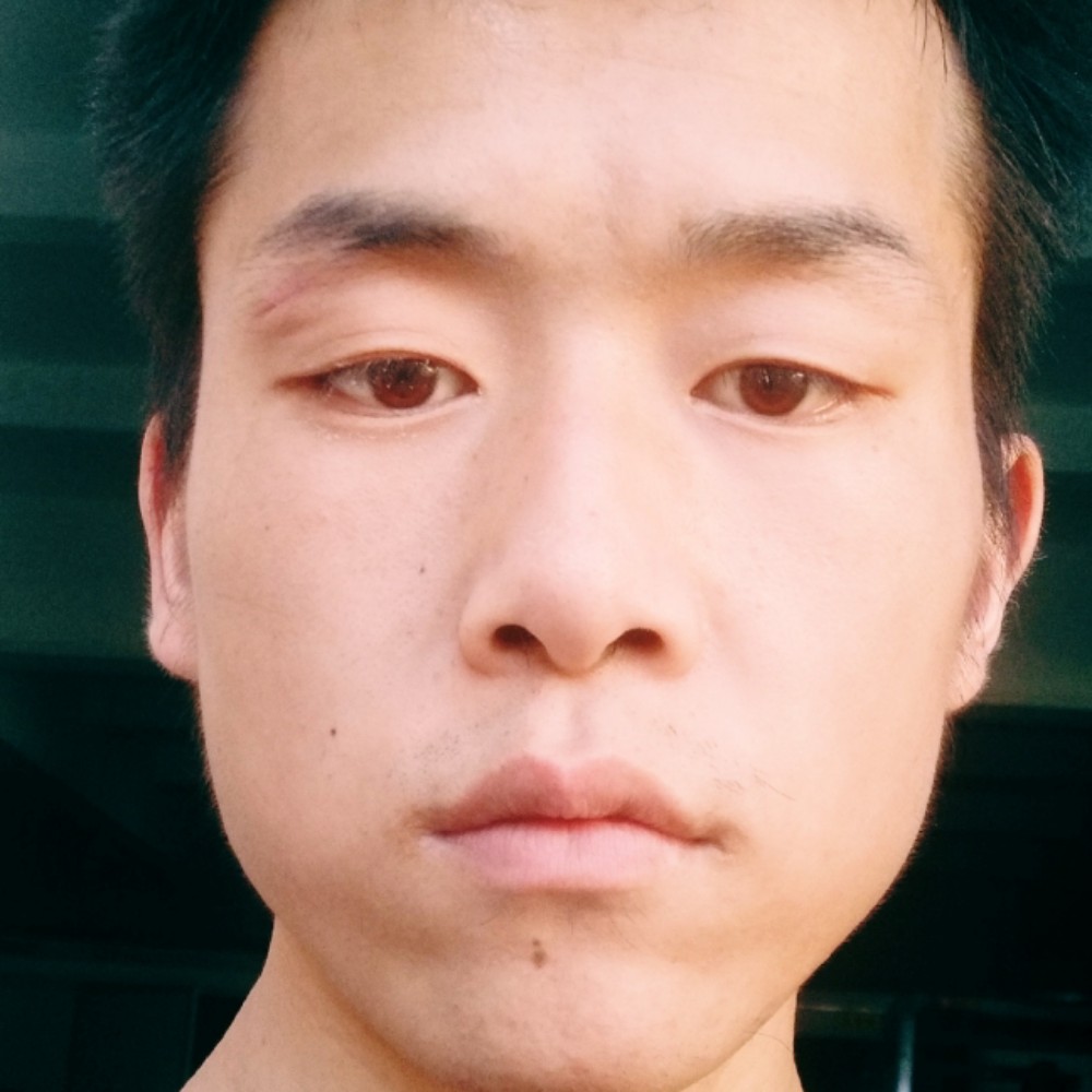 乌龟苦恋哭泣的照片