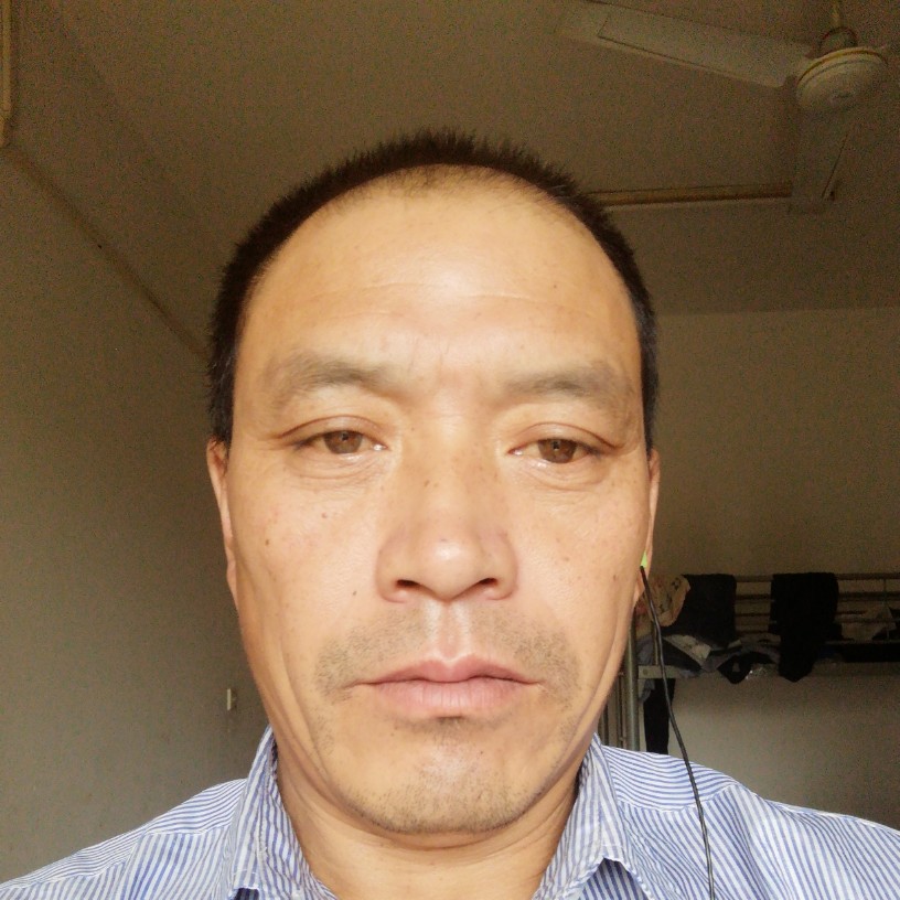 神勇鸵鸟的照片