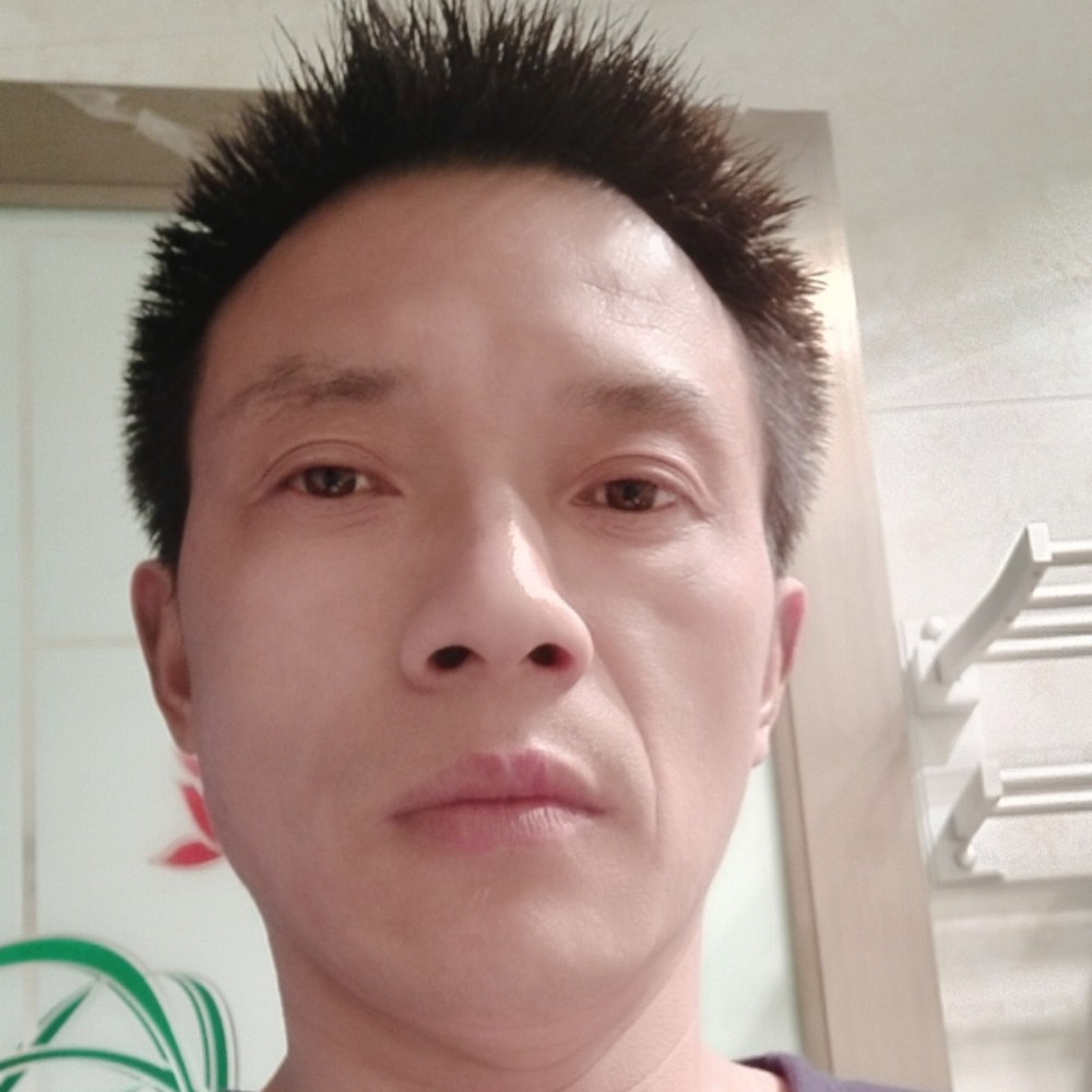 随风的鸟的照片