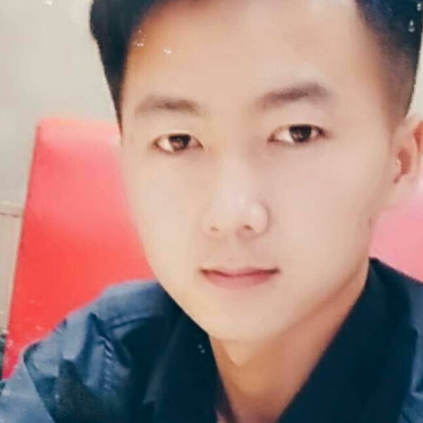 欢喜漫步猎豹的照片