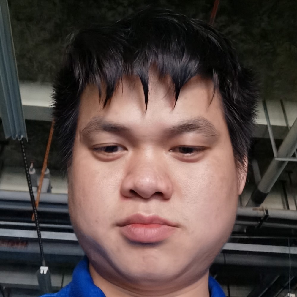 阳光拾忆小鸽子的照片