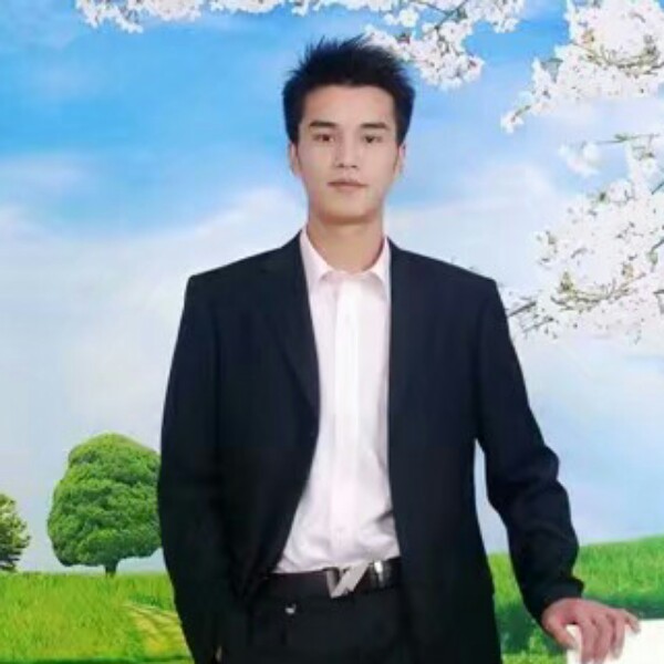 灰 9太1 狼的照片