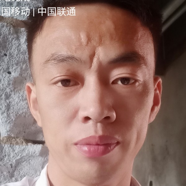 芹菜和淡定的照片