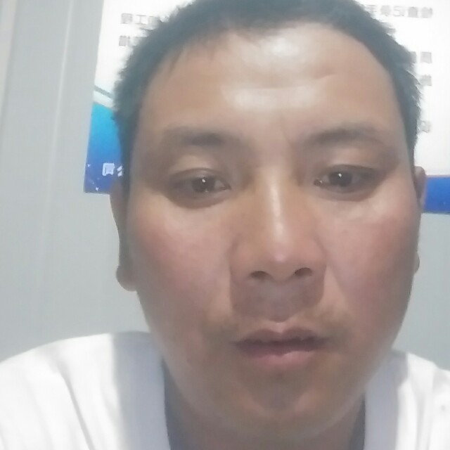 玫瑰改变优秀的照片