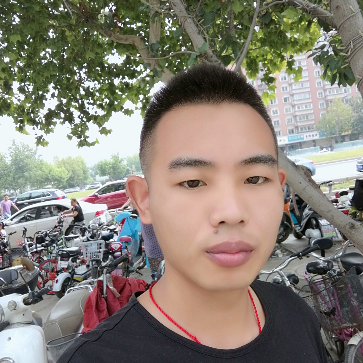山上上山的照片