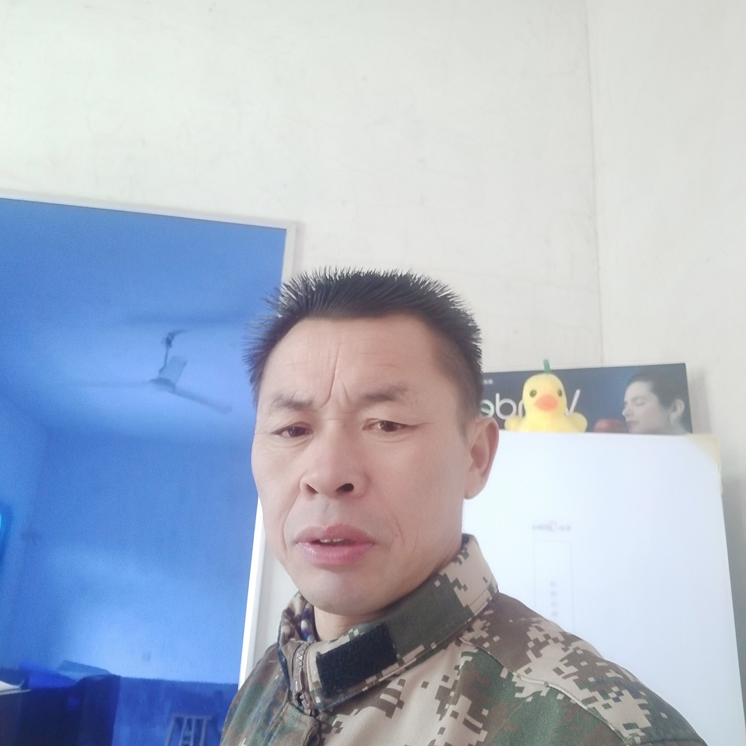 小猫咪凝眸昏睡的照片