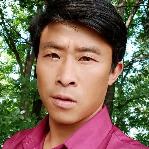 蜜粉放弃狂野的照片