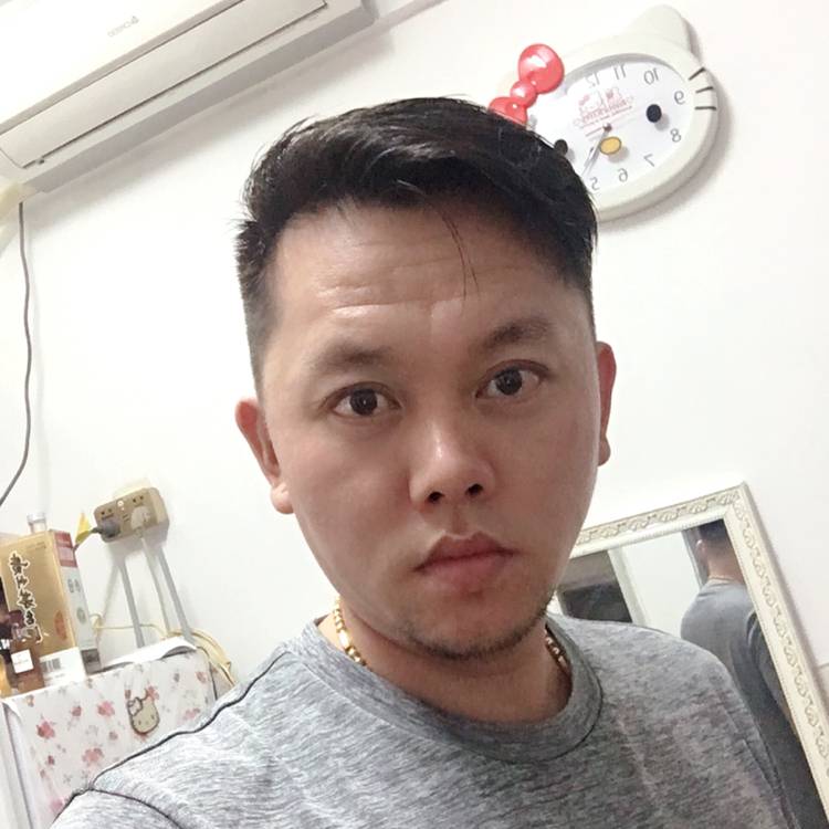 仔仔细细的的照片