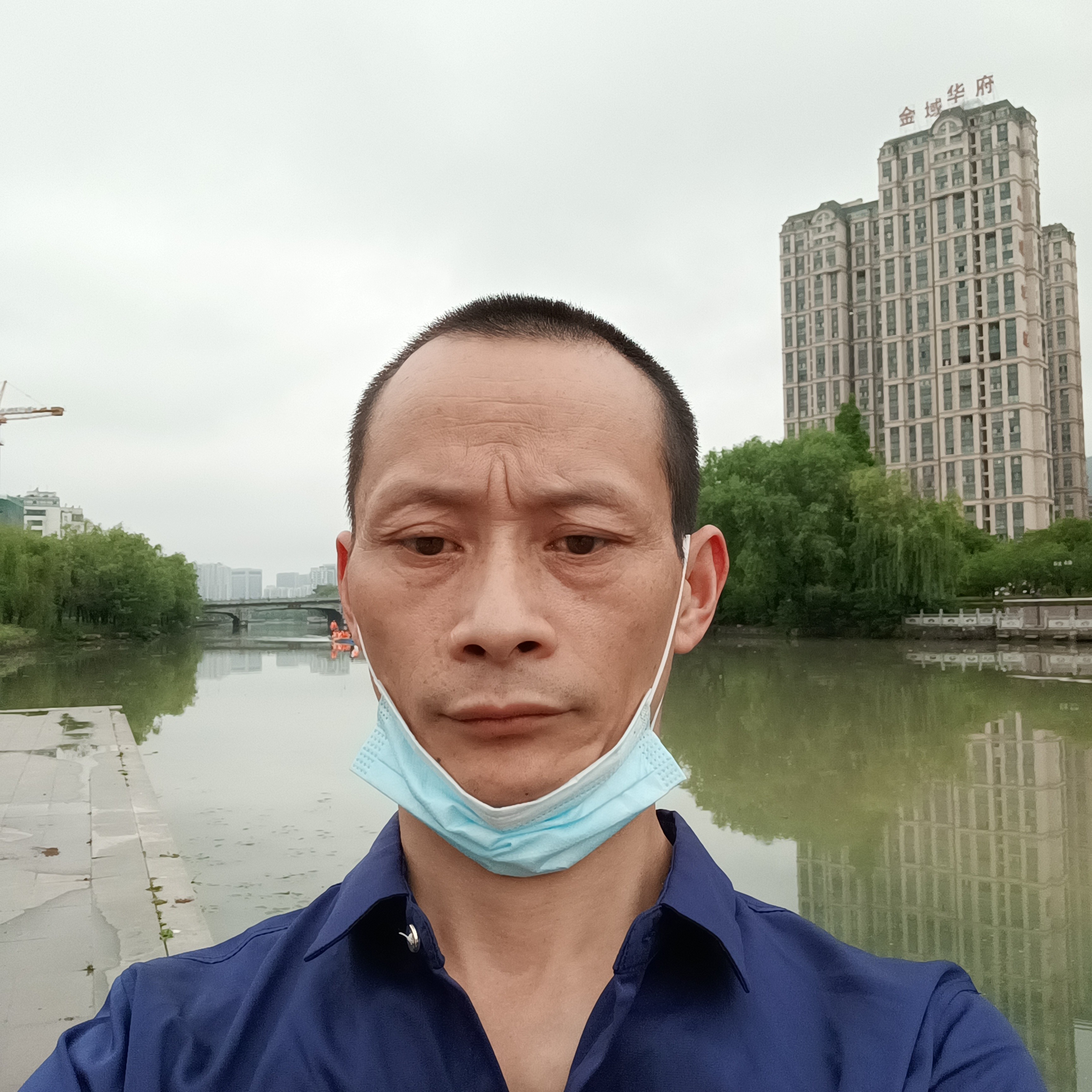 不解的凝眸老虎的照片