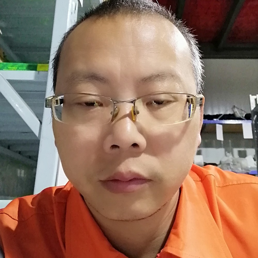 望天树的照片