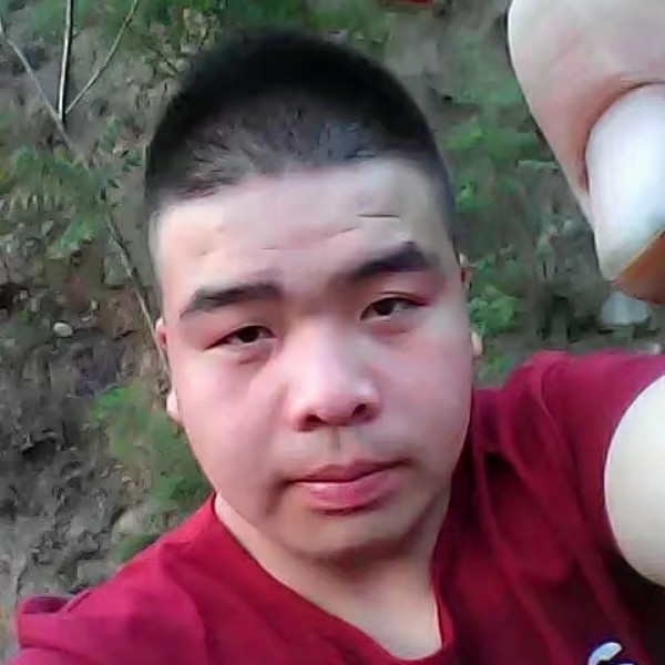 沉静说小蝴蝶的照片