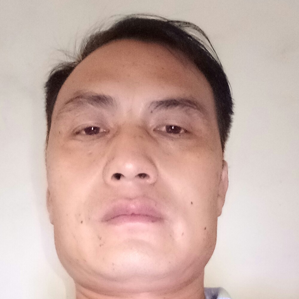 春天温柔的照片