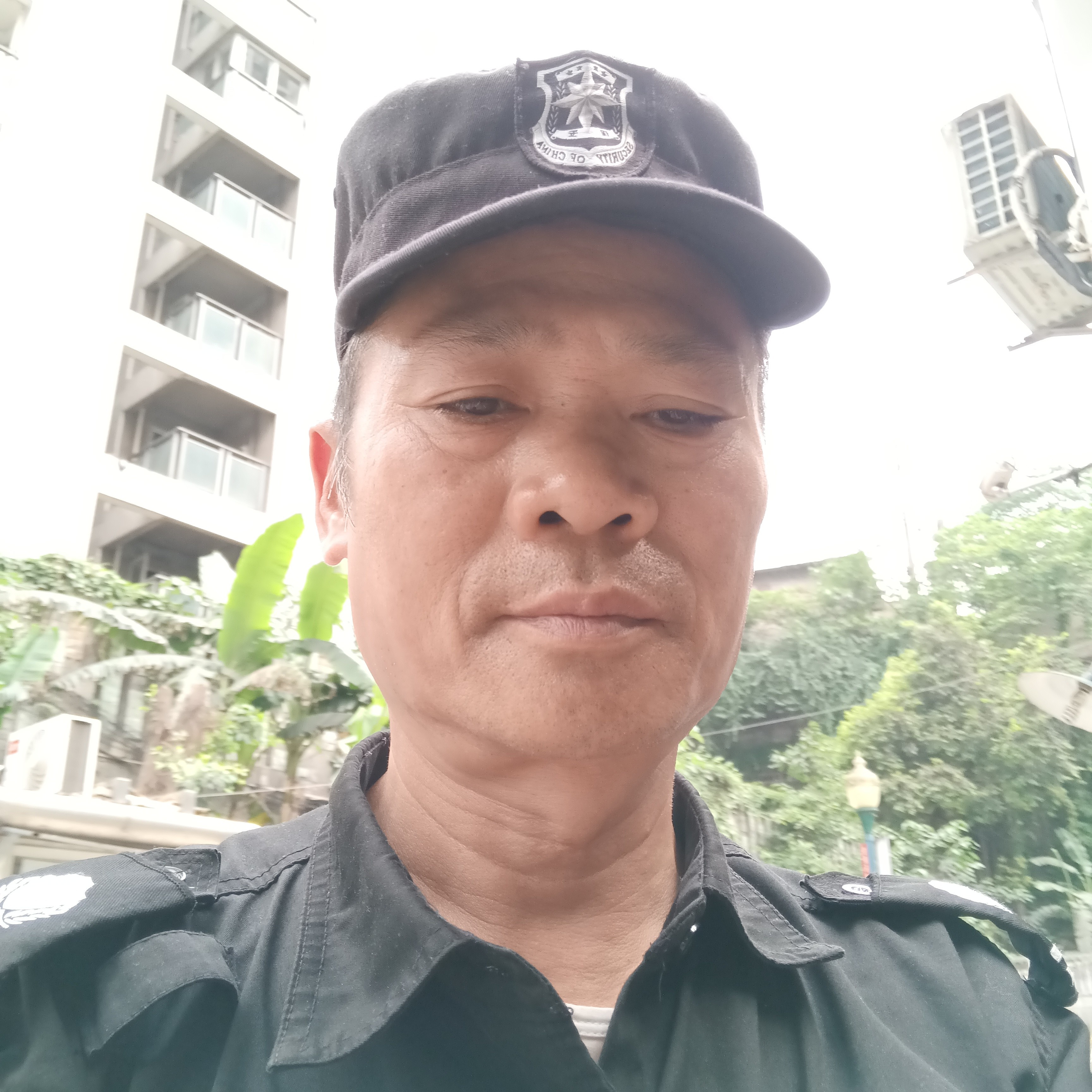 呆萌演变樱桃的照片