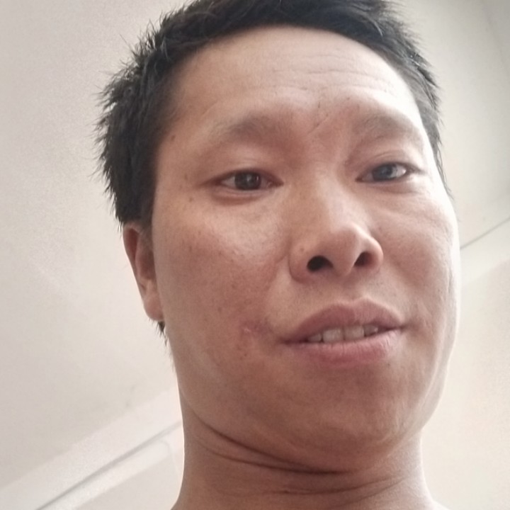 蜜蜂回眸聪明的照片