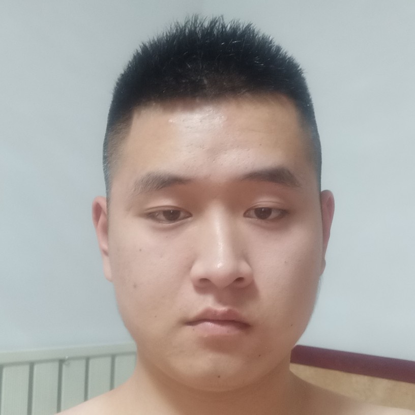 勤劳的小蜜的照片