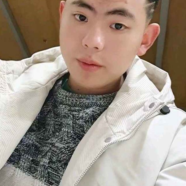 树叶的活力的照片