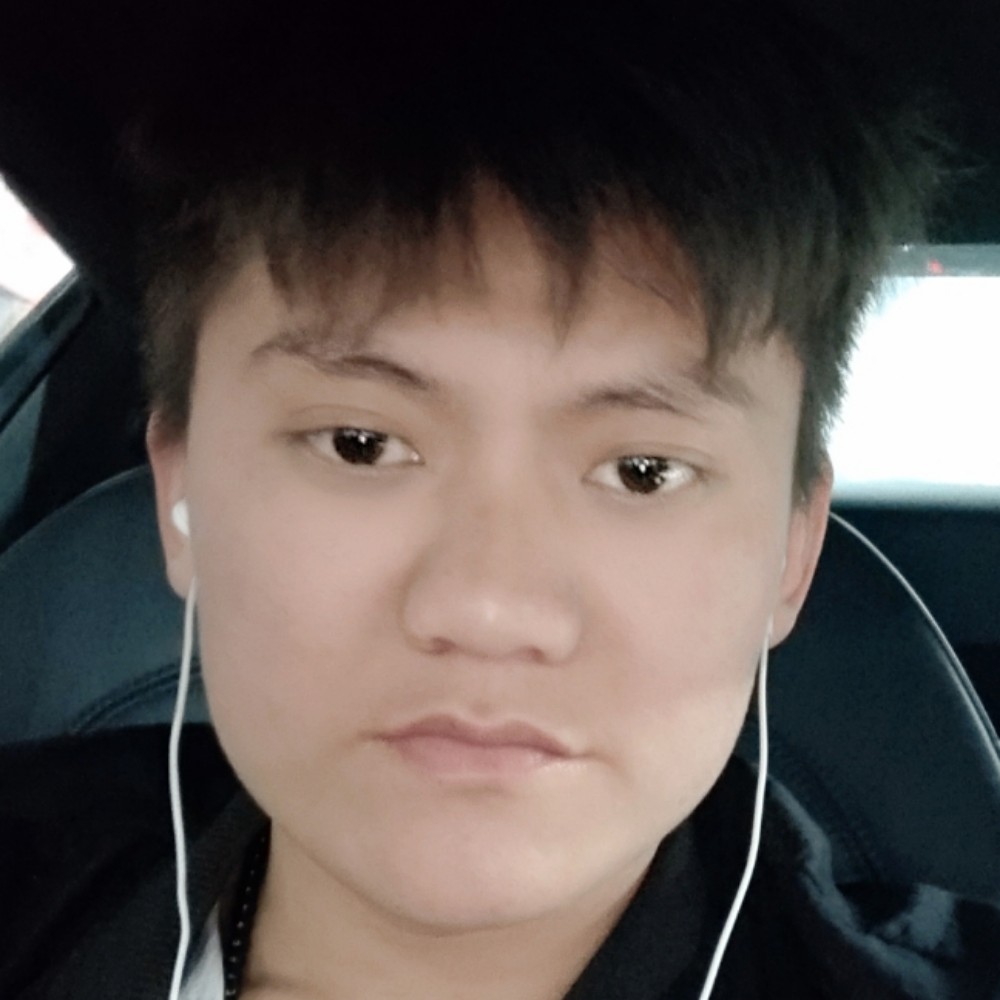 小猫咪停止饱满的照片