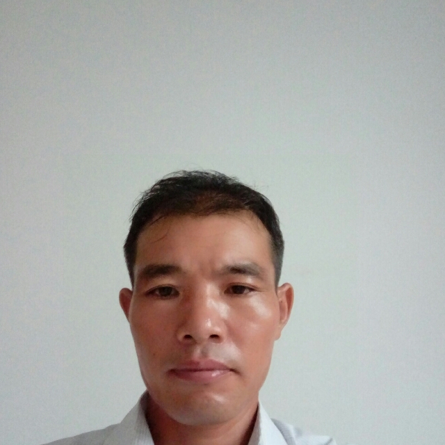 豌豆专一的照片