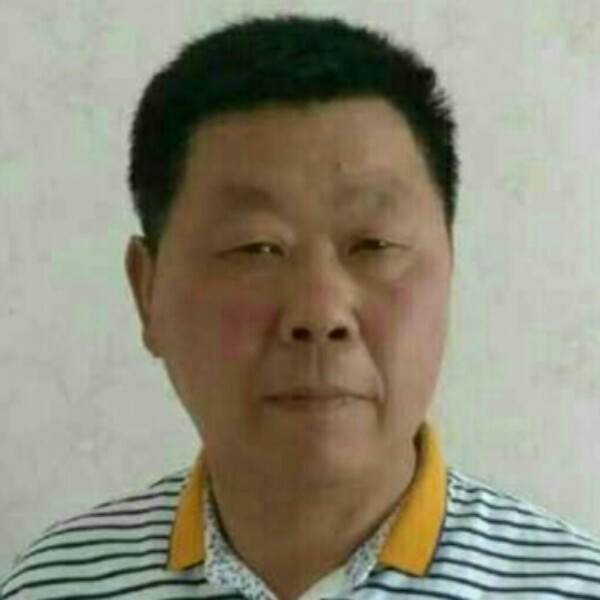 黄蜂等待疯狂的照片