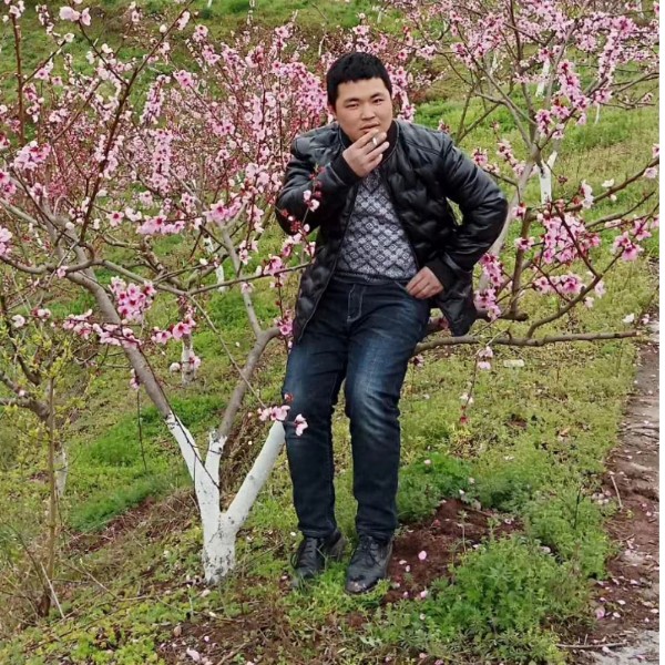 金毛多么幽默的照片