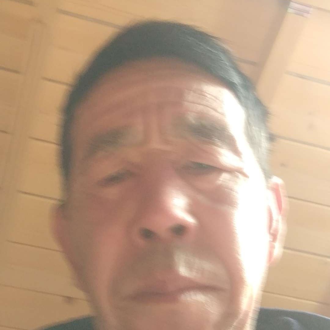 勤恳挽手小猫咪的照片