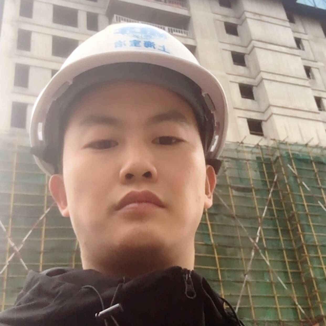 小白菜相许成就的照片