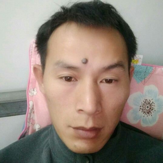 无心愿孤心的照片