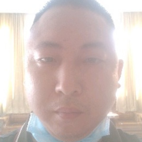 熊的照片