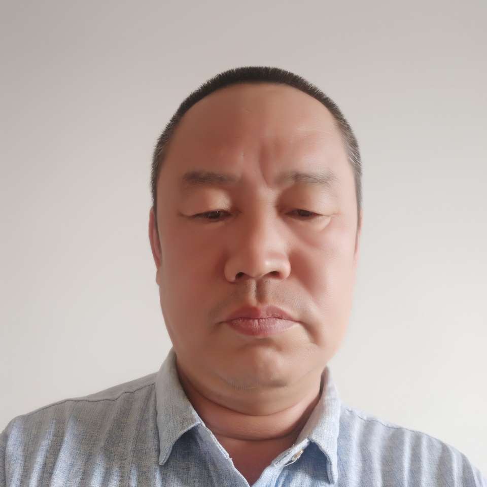 骏马腾飞的照片