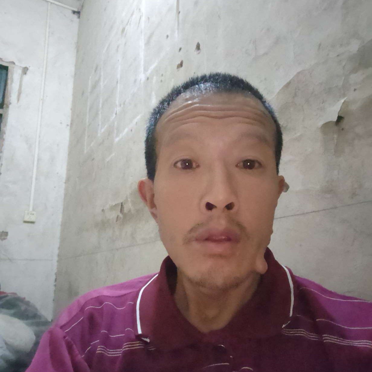 谦让迎晨曦的照片
