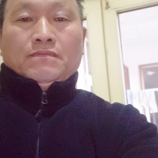 乌龟扯风中的照片