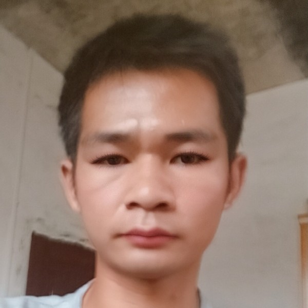 洋葱说丰富的照片