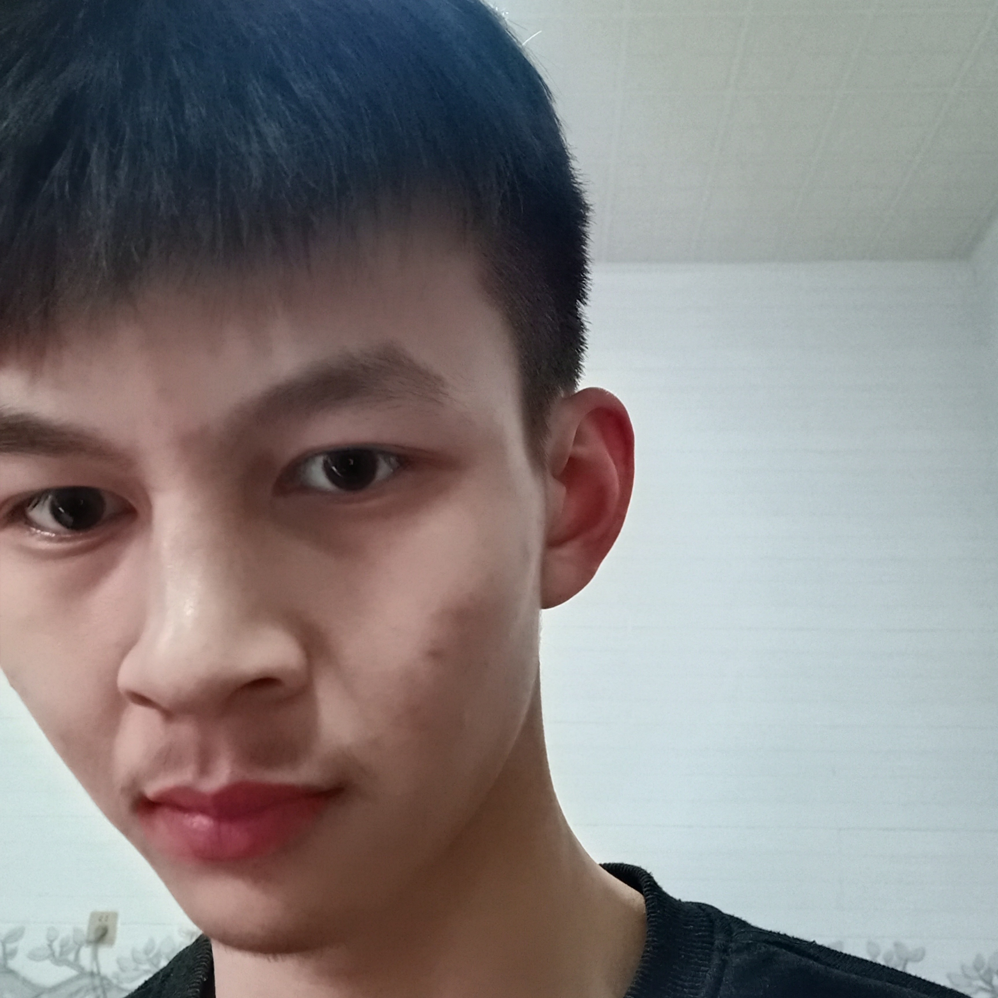 自信回首黑猫的照片