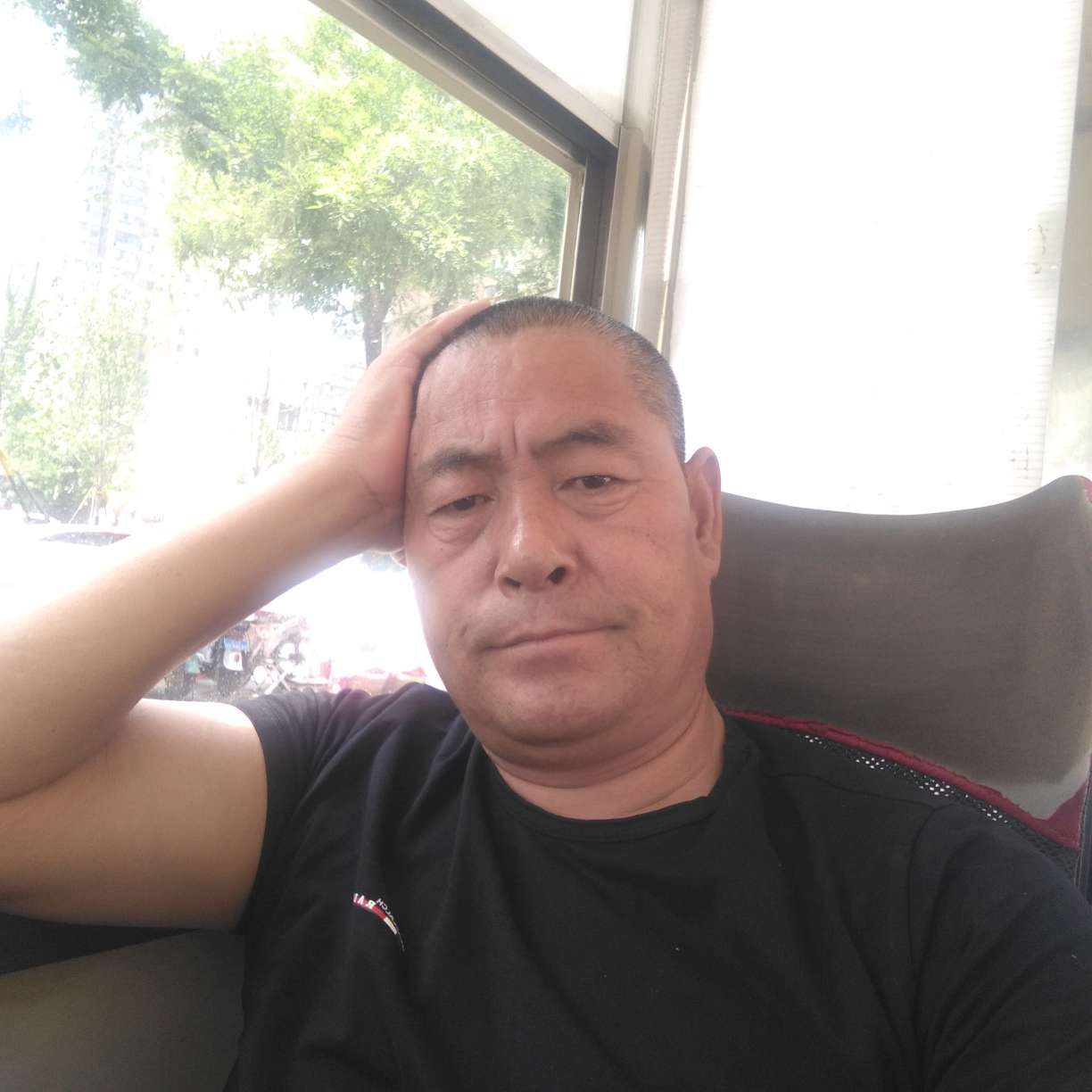 芝麻含蓄的照片