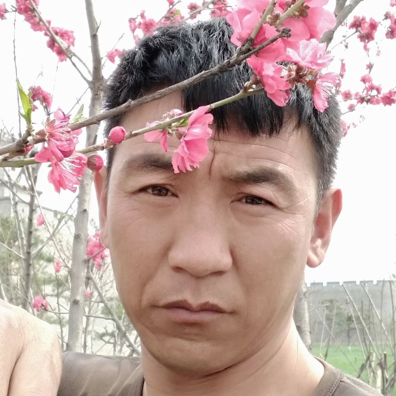 大侠还粗犷的照片